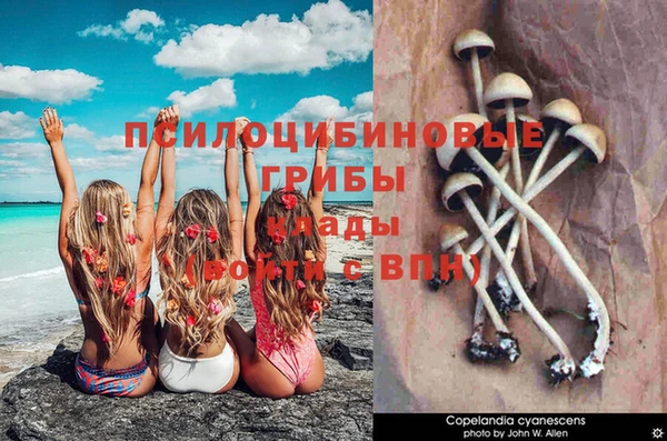 герыч Нязепетровск