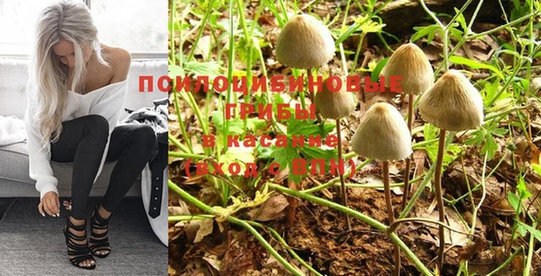 mdpv Нягань