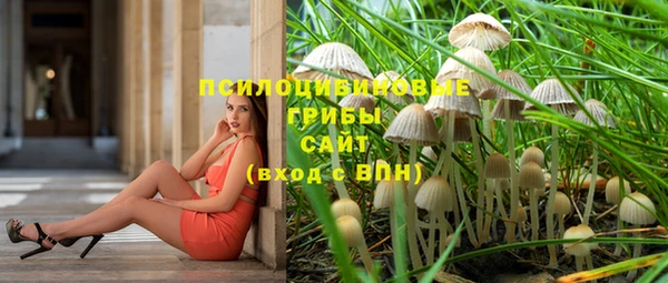 mdpv Нягань