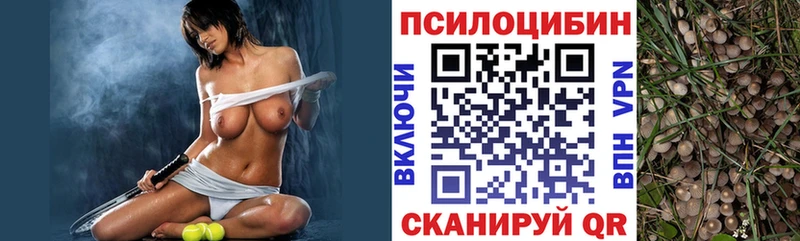 ссылка на мегу ТОР  Североуральск  Псилоцибиновые грибы Psilocybine cubensis 
