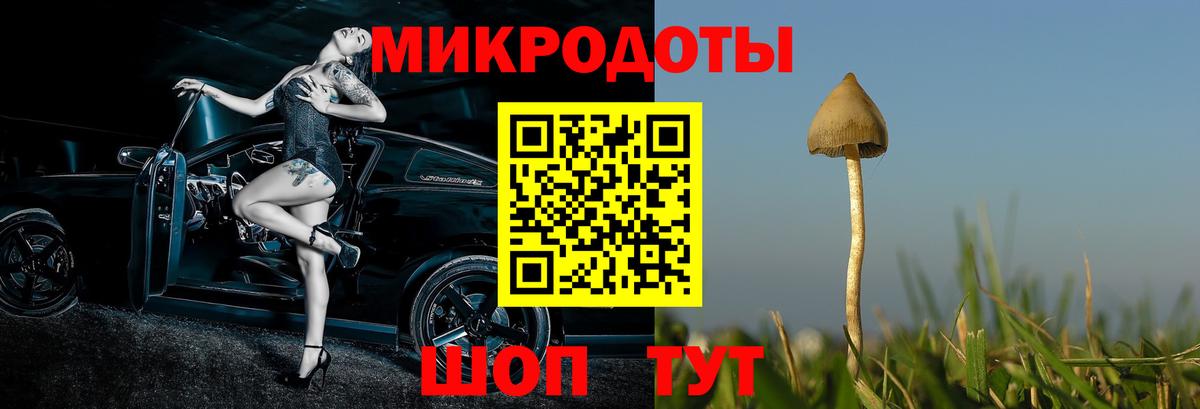 Галлюциногенные грибы мухоморы  купить   Североуральск  Псилоцибиновые грибы мухоморы 